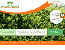 Tablet Screenshot of marchfeldpflanzen.at